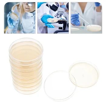 10 Tk Toitainete Agar Plaat Steriilse Petri Tassi Asjade Lapse Lasteasutused Partnerid On Plastikust